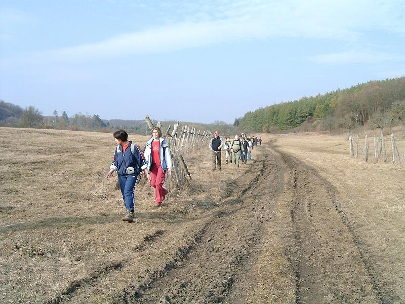 2010.03.20 077.jpg